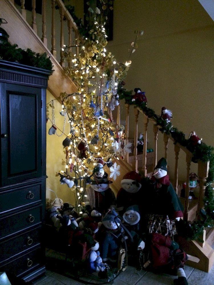 Vangorda Place B&B Whitehorse Zewnętrze zdjęcie
